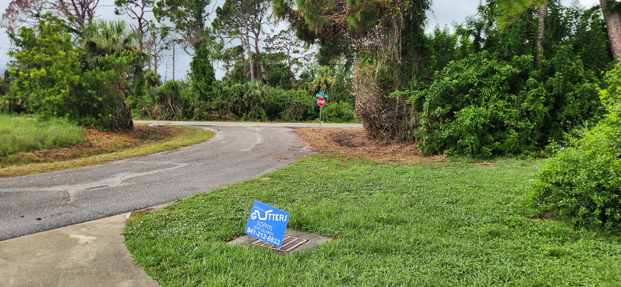 MomMom Cleanup and Lawn & Landscaping  ~~  