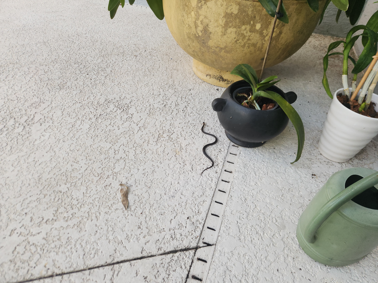 Lynch Shack Oct 2023  ~~  