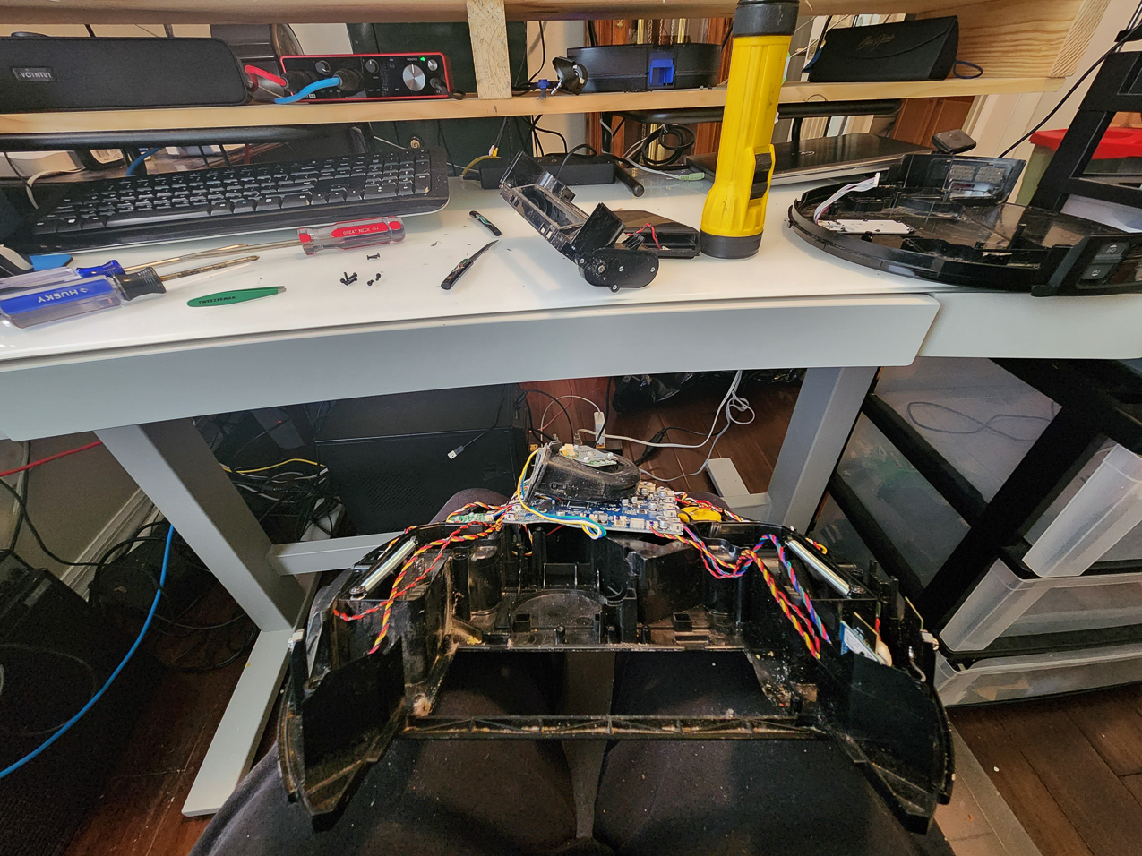 Francine is not well  ~~  