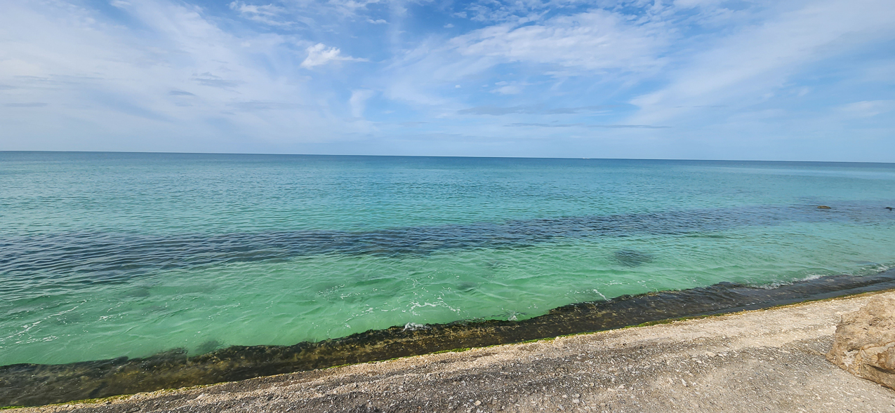 Clear water Casey Key December 2023  ~~  