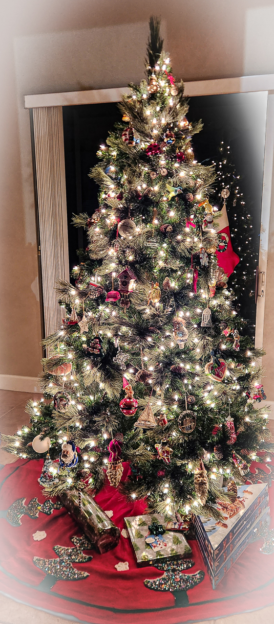 Christmas Tree 2023 Florida  ~~  