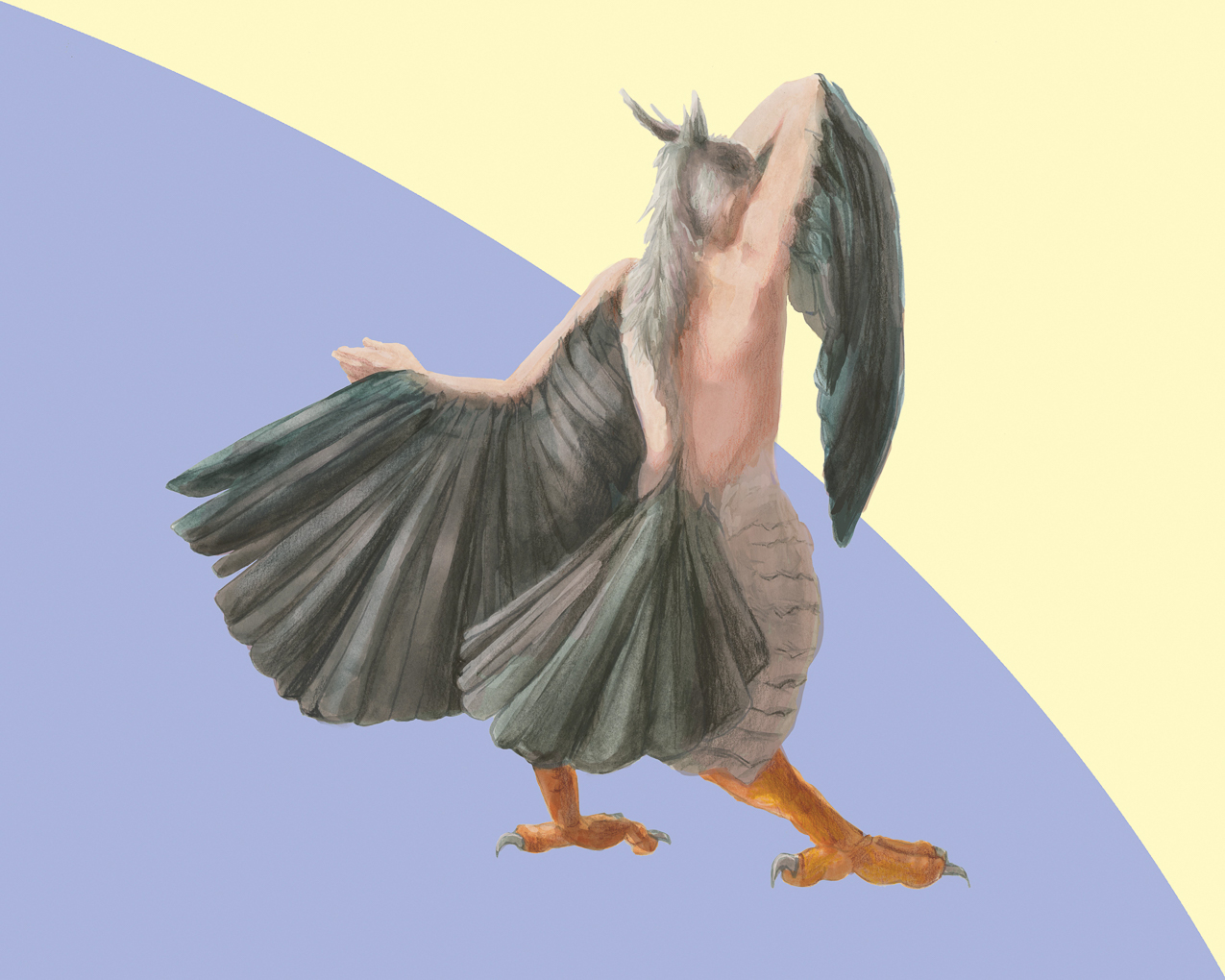 Mary Lynch - Arcadia Senior Thesis Exhibition May 2023  ~~  