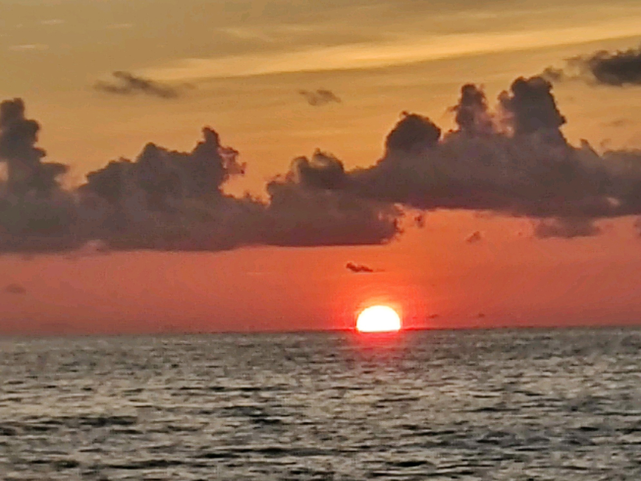 Quinn Lynch pictures from MomMom's Funeral  ~~  