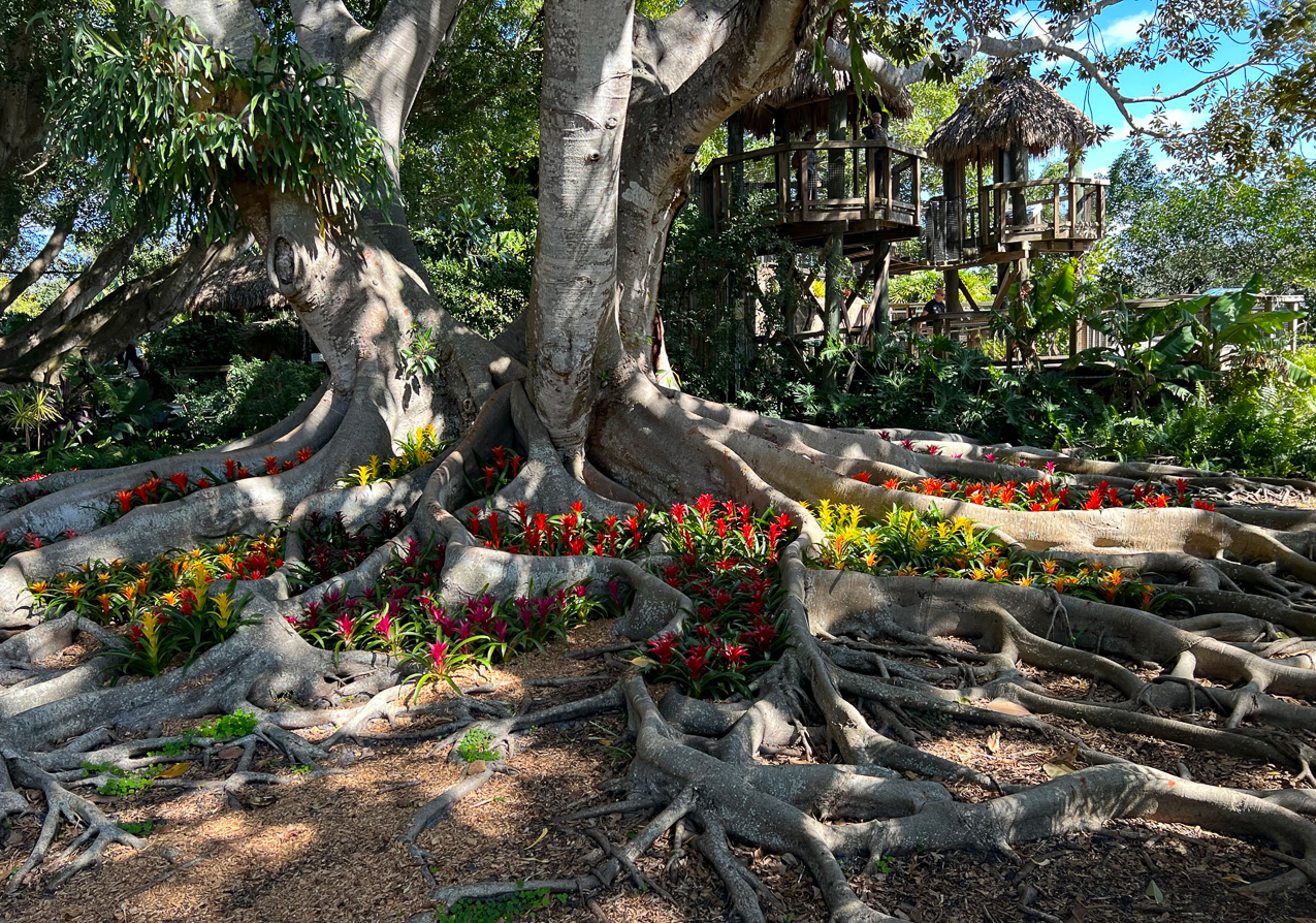 Priceman's Visit to Florida  ~~  