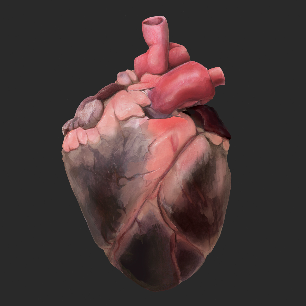 Mary Lynch - Arcadia Senior Thesis Exhibition May 2023  ~~  