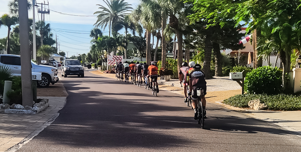 Real Bikes Cycling Ride October  ~~  