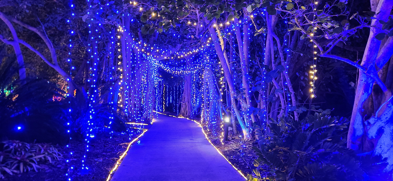 Selby Gardens Christmas Light Show 2023  ~~  4 million lights