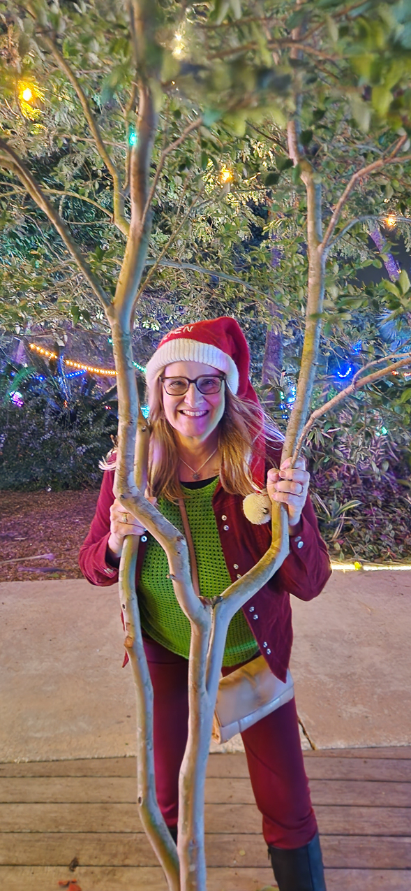 Selby Gardens Christmas Light Show 2023  ~~  4 million lights