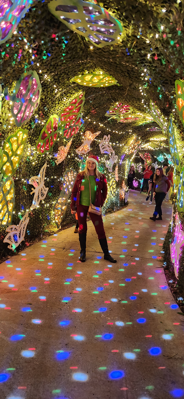 Selby Gardens Christmas Light Show 2023  ~~  4 million lights