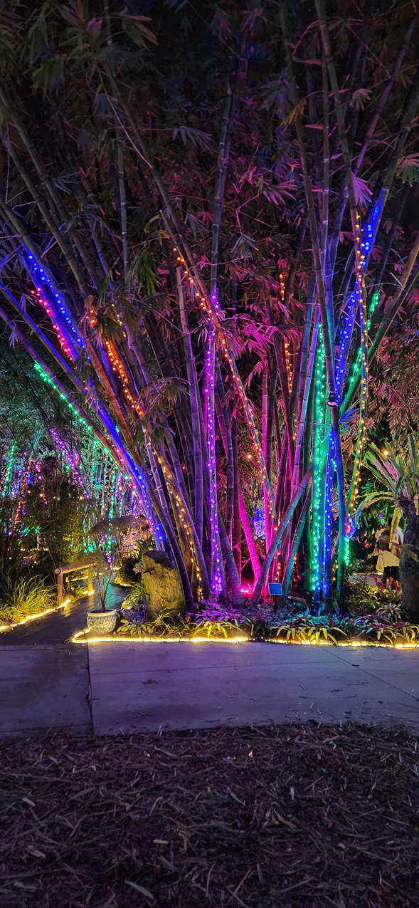 Selby Gardens Christmas Light Show 2023  ~~  4 million lights