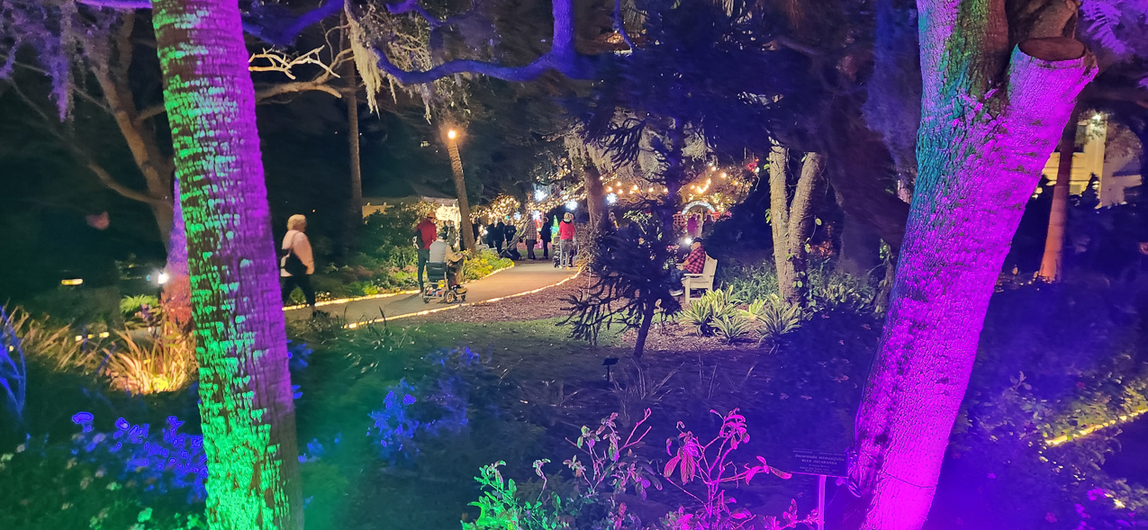 Selby Gardens Christmas Light Show 2023  ~~  4 million lights