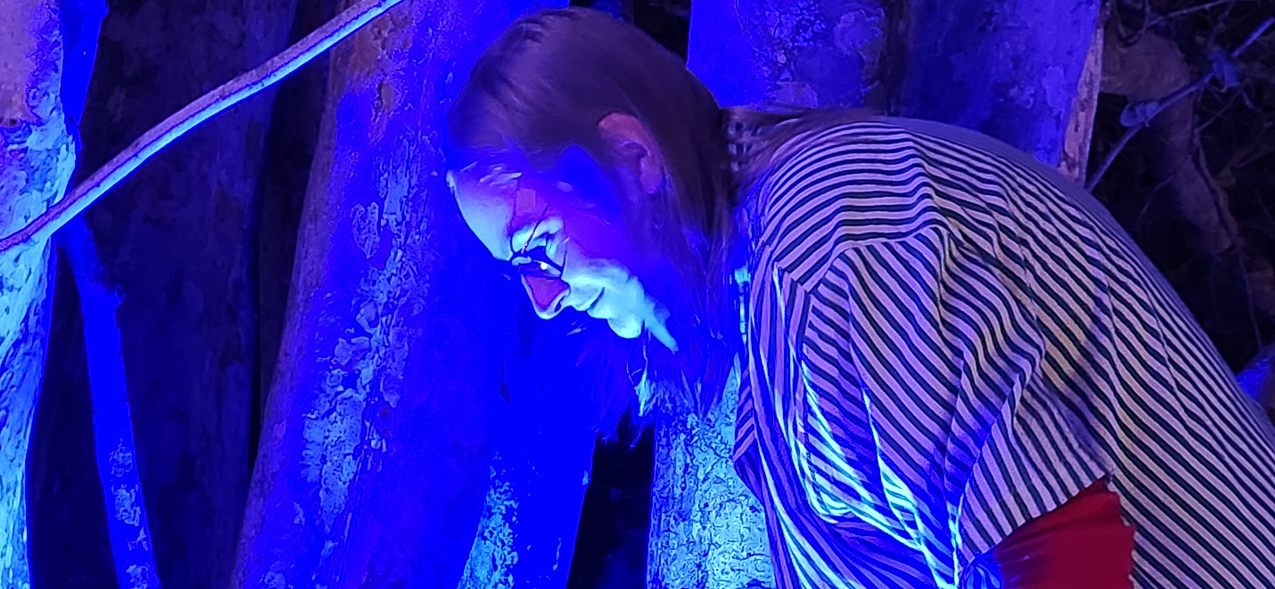 Selby Gardens Christmas Light Show 2023  ~~  4 million lights