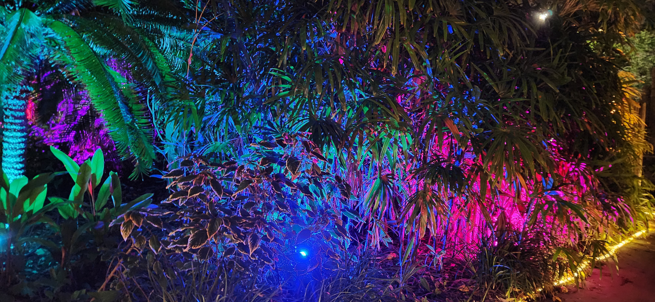 Selby Gardens Christmas Light Show 2023  ~~  4 million lights