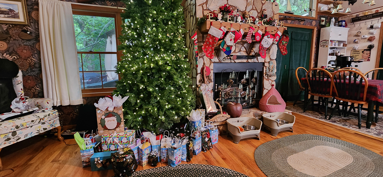 John & Lyd's Christmas in July and MomMom 1 year celebration of life.  ~~  Hanging Dog, in Murphy NC