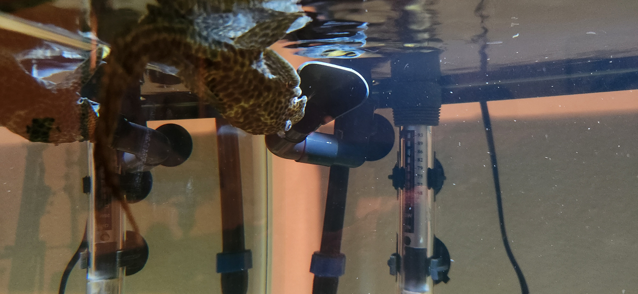 Windex just floating on the surface  ~~  