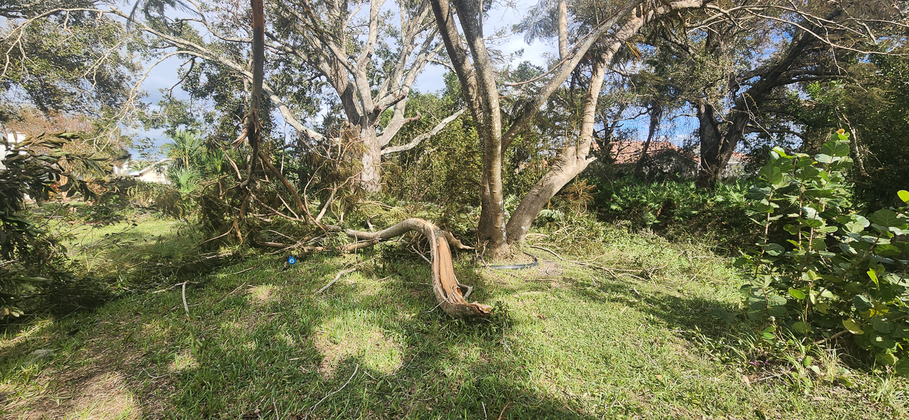   ~~  Hurricane Milton hits Siesta Key as CAT 3 October 10 2024