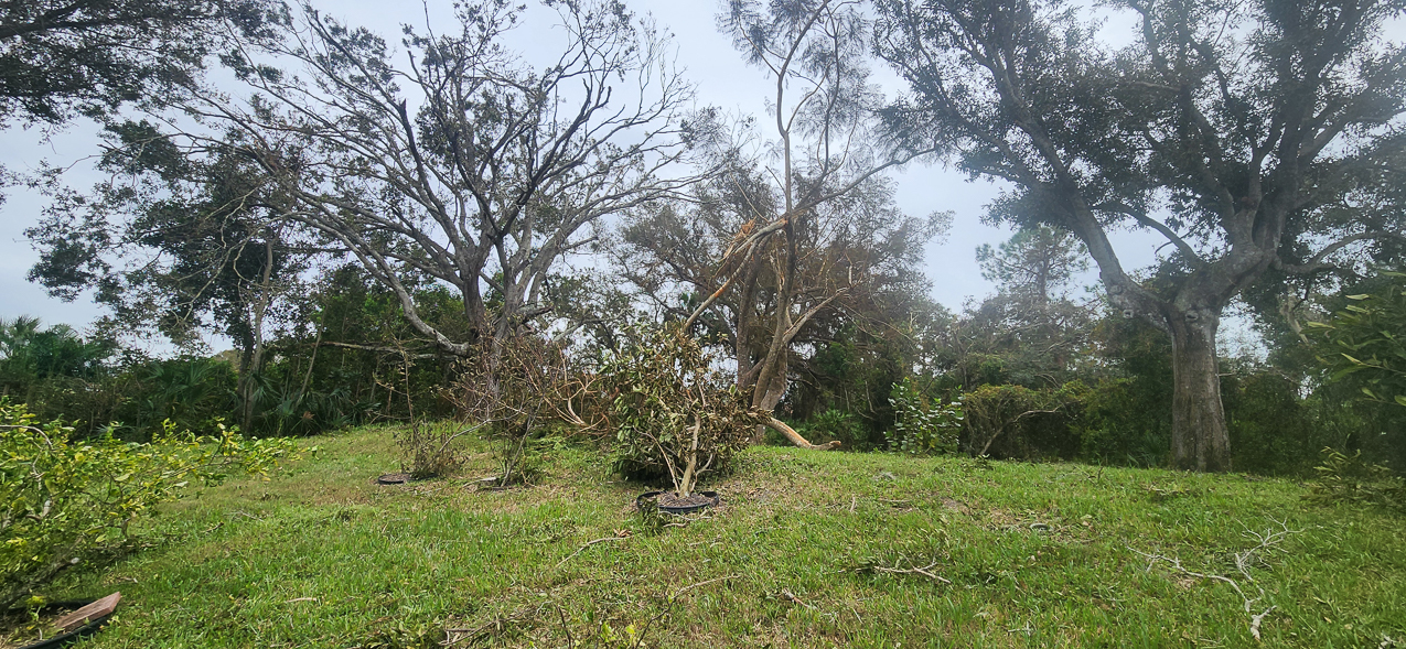   ~~  Hurricane Milton hits Siesta Key as CAT 3 October 10 2024