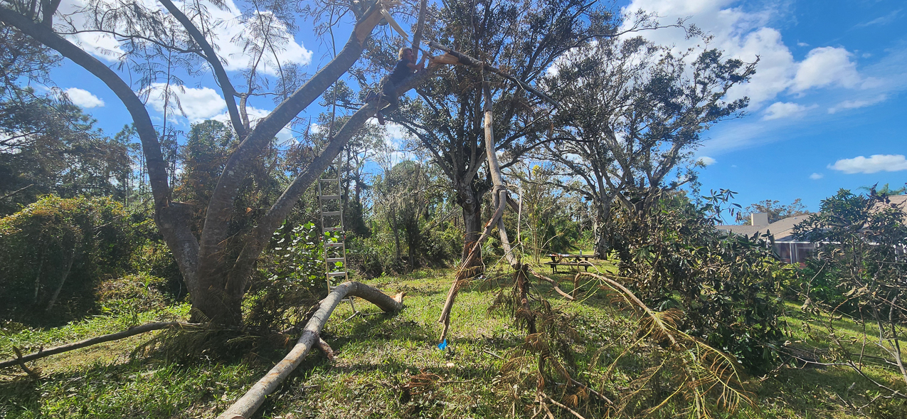   ~~  Hurricane Milton hits Siesta Key as CAT 3 October 10 2024