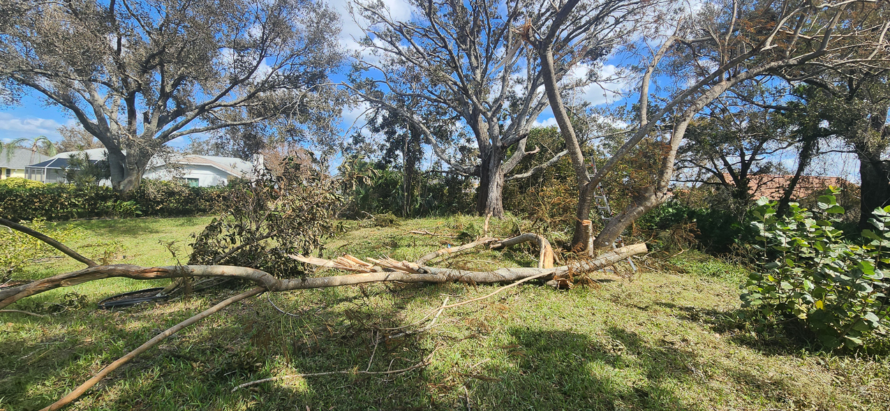   ~~  Hurricane Milton hits Siesta Key as CAT 3 October 10 2024