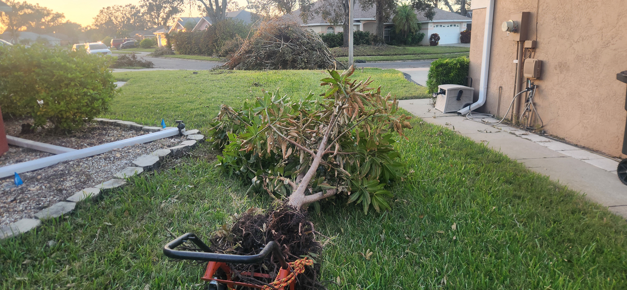   ~~  Hurricane Milton hits Siesta Key as CAT 3 October 10 2024