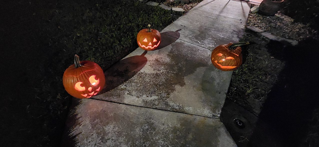 Holloween in FL 2024  ~~  