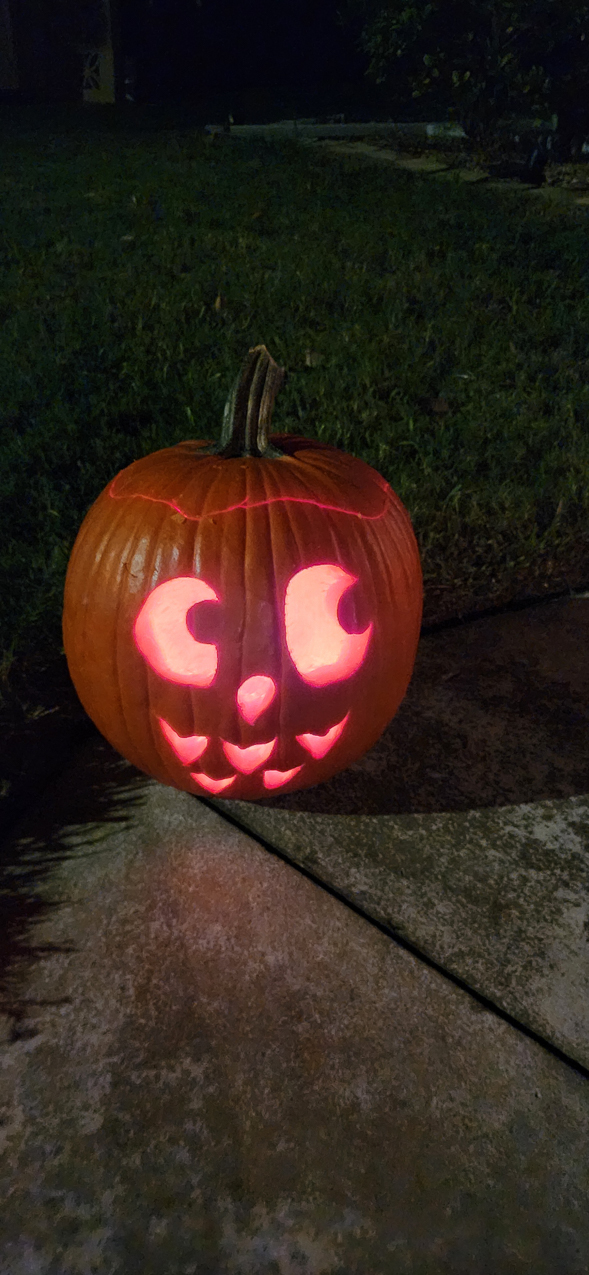 Holloween in FL 2024  ~~  