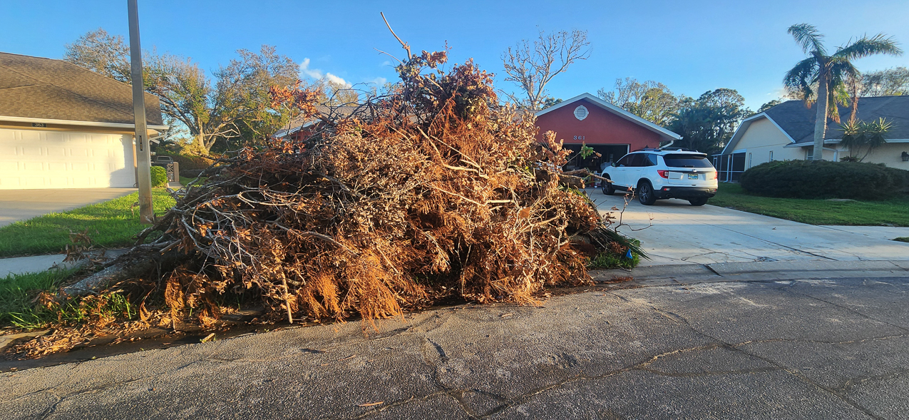 THE PILE got bigger  ~~  