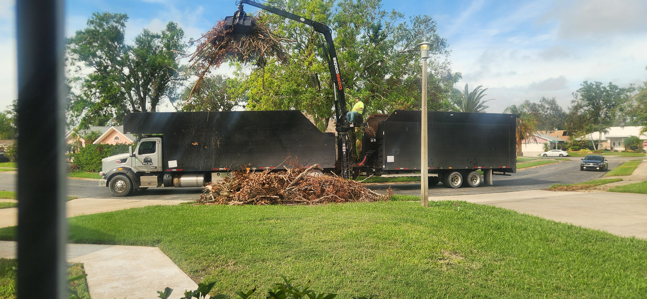 Hurricane Milton & Helene : FEMA CLEAN UP!!!    ~~  50 Cu Yards and 12 feet high!!!