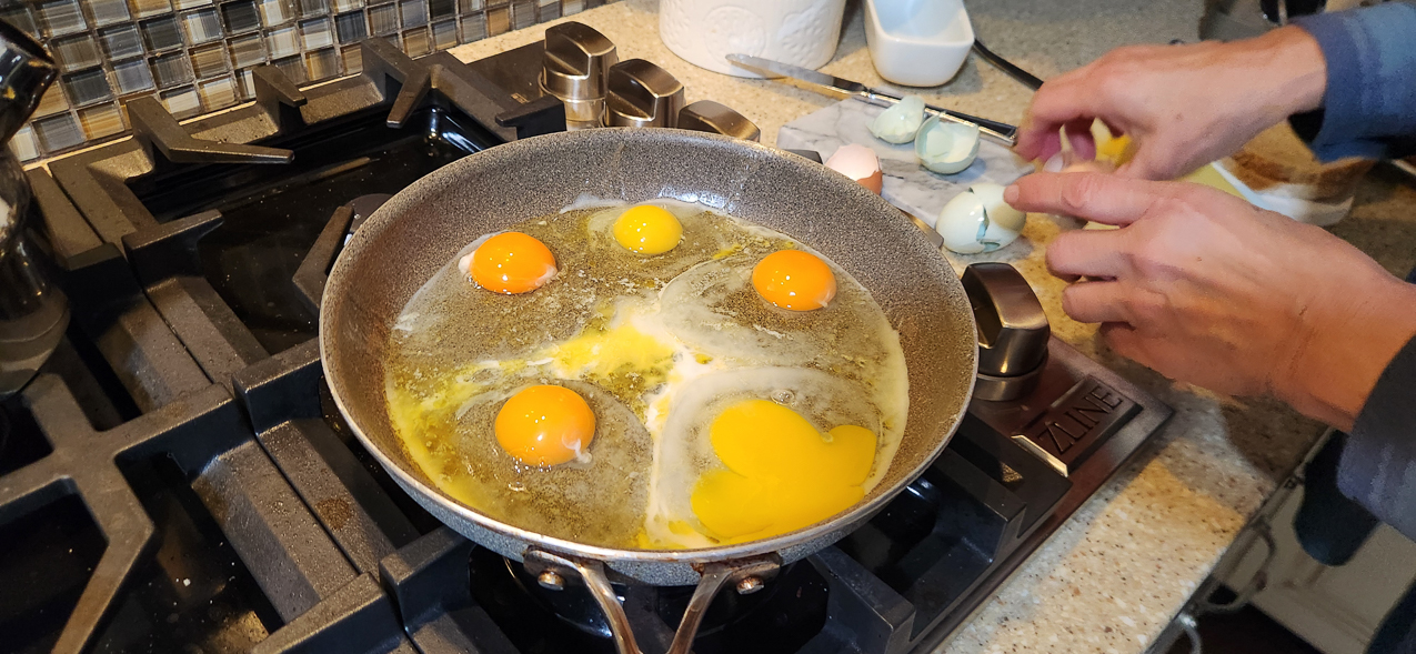 Blue free range organic eggs vs free range organic  ~~  