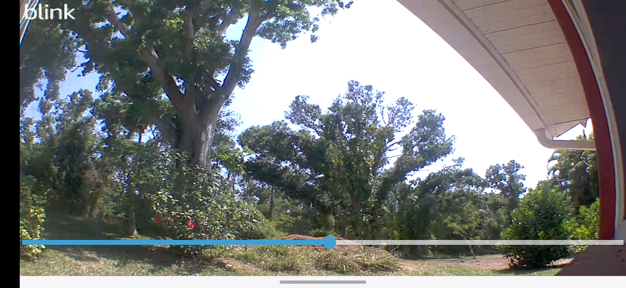 Woodvale Renovation Continues  ~~  Tree Removal  May 2024