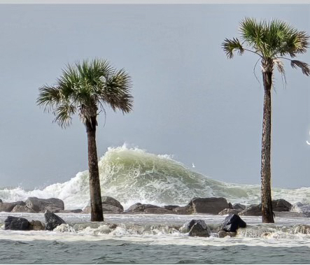 Hurricane Helene Sept 2024  ~~  