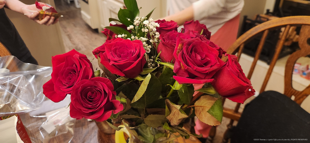 Happy Valentines Day Gretchen