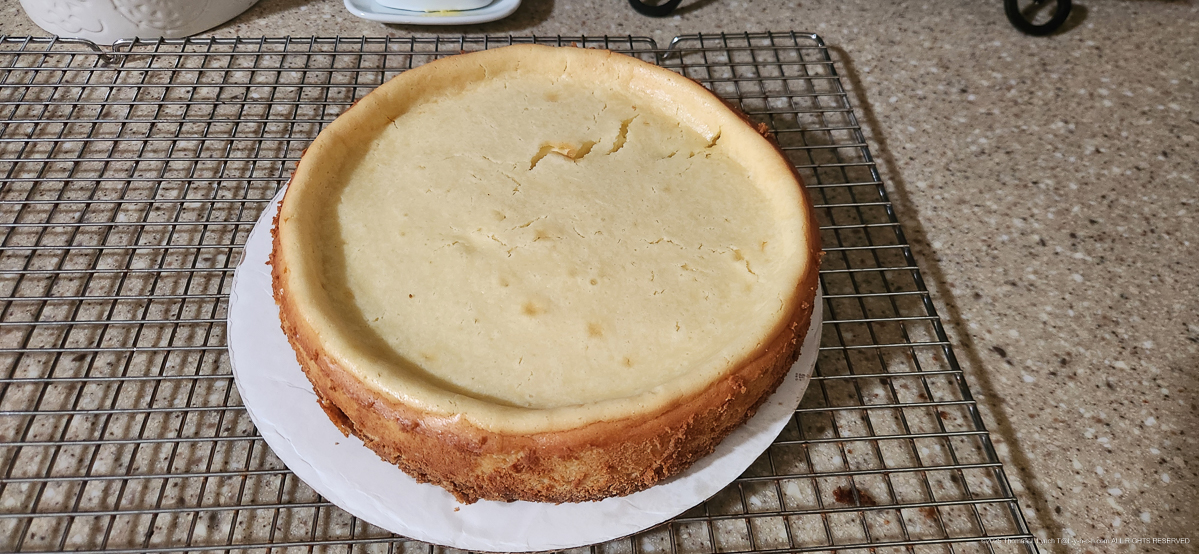 T's Cheesecake 1978, 1983,  2013, 2025