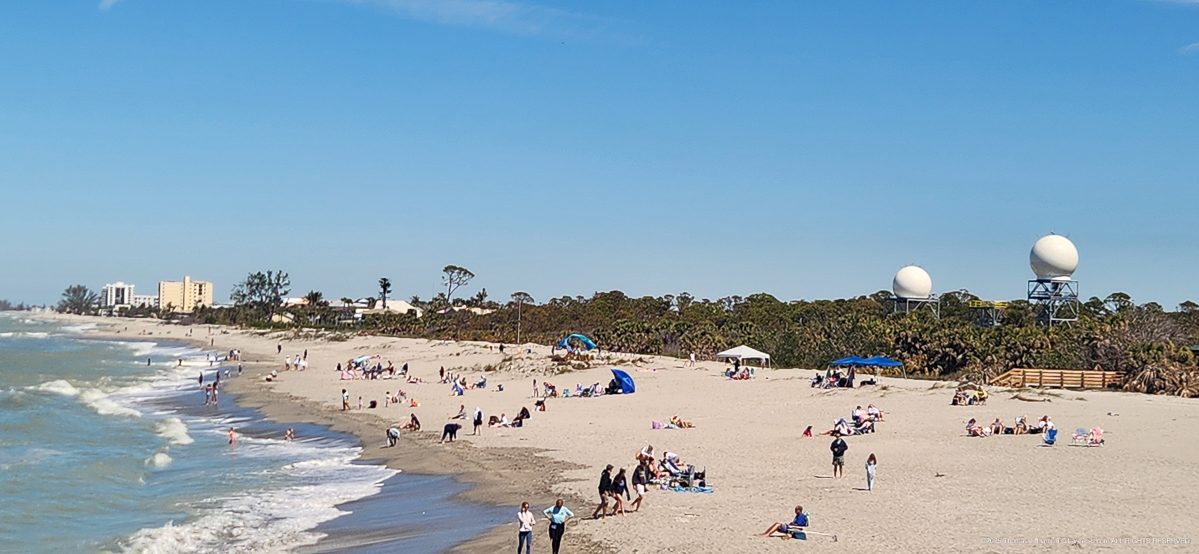 March on the beaches with Michelle and Dave Priceman