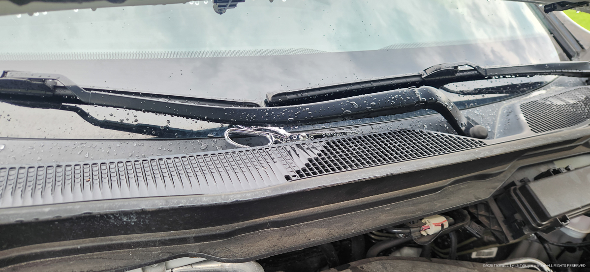 Gret could not find the kitchen scissors.... I did?