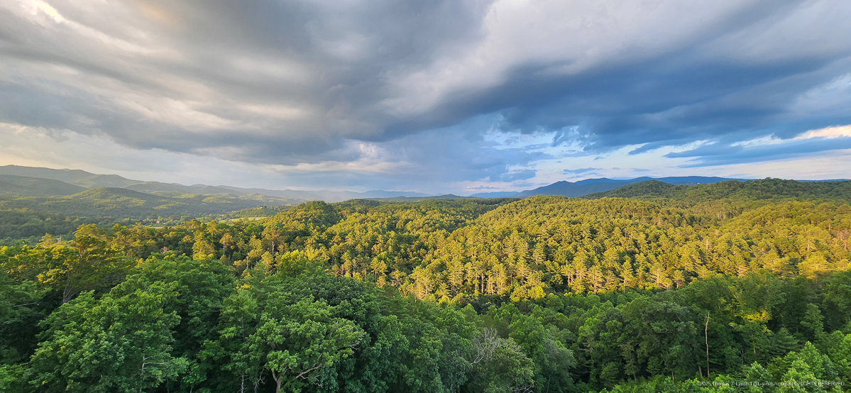 Chef Ramsey Restaurnat in the Casino