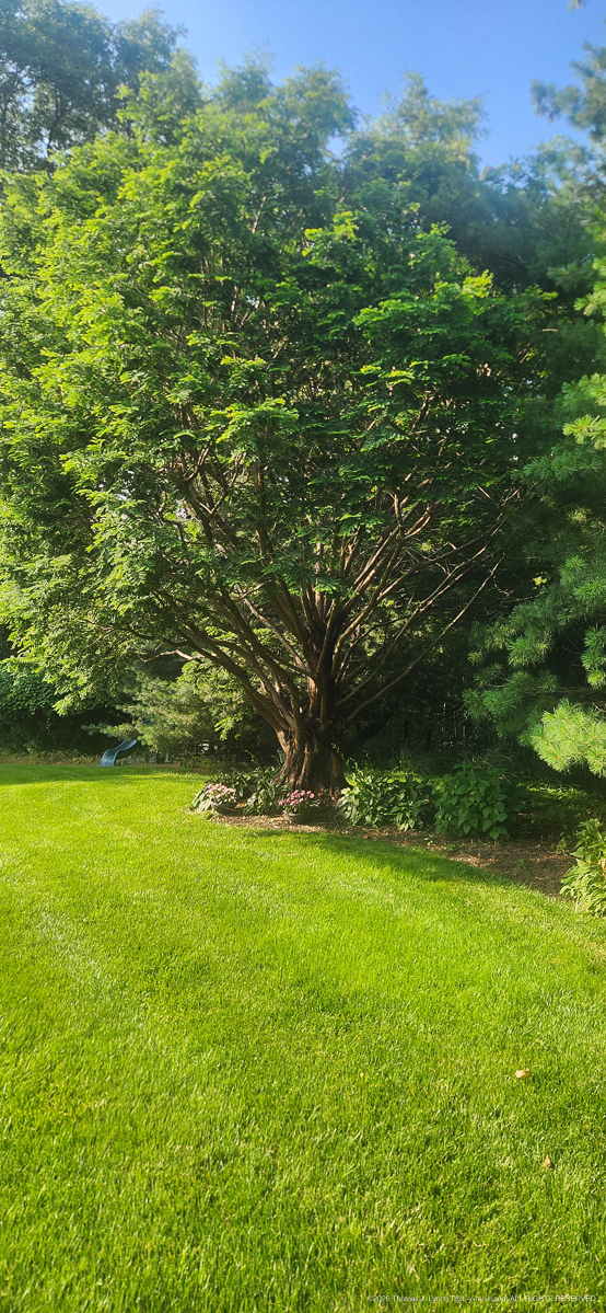 1851 Hawthrone Circle, Jamison, PA 18929....  our home a long time ago