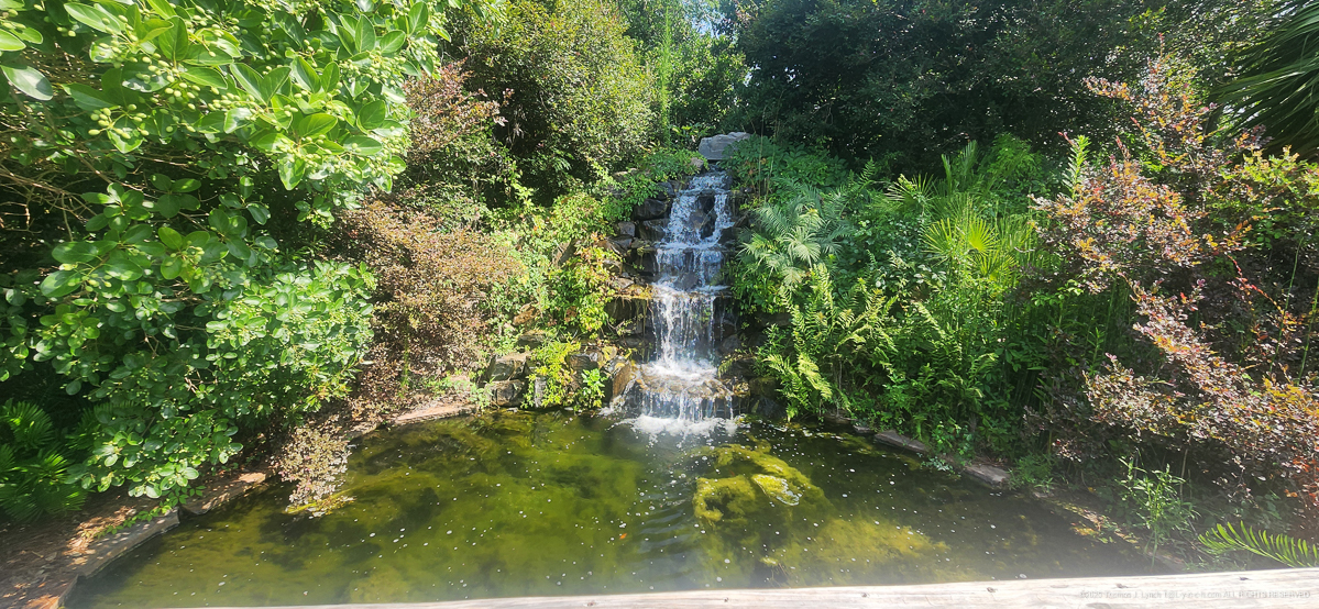 Savannah Botanical Gardens