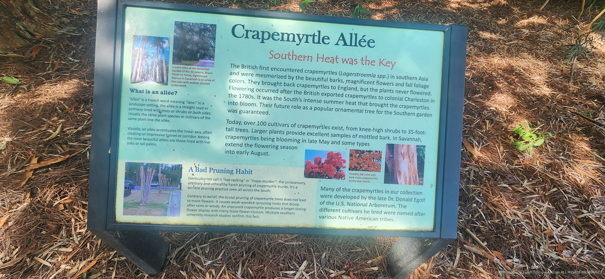 Savannah Botanical Gardens