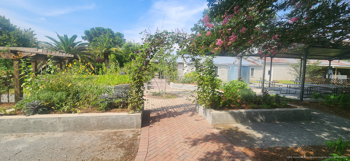 Savannah Botanical Gardens