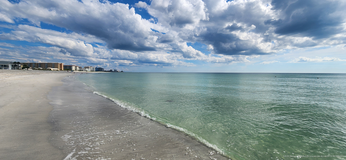 5 mile walk on Venice and Brohard Sharky Beach
