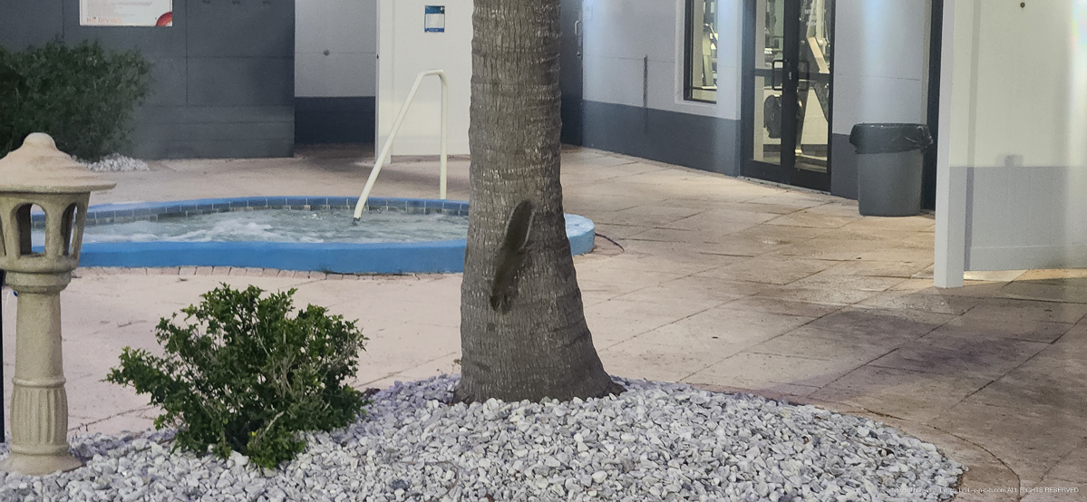 MomMom & PopPops house in October 2025