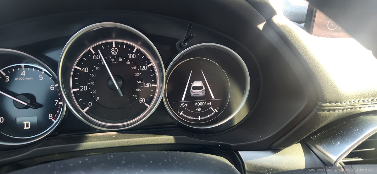 Sharky hits 40,000 December 27 - Quinn was down for Xmas.