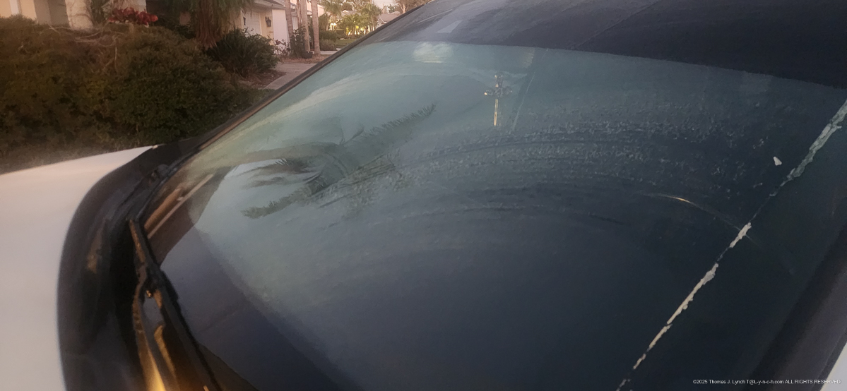 ICE on Gret's windsheild Jan 28 2026 in FL