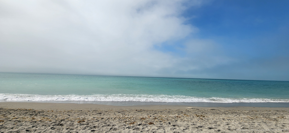 On the Beach and the Priceman's visit in Sarasota