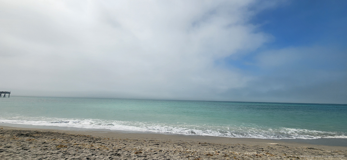 On the Beach and the Priceman's visit in Sarasota