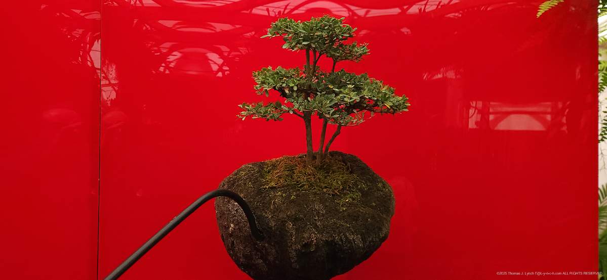 Selby Gardens with the Priceman's Feb 2026