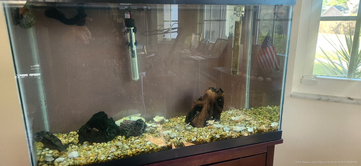 Office re-arraingment and tank cleaning