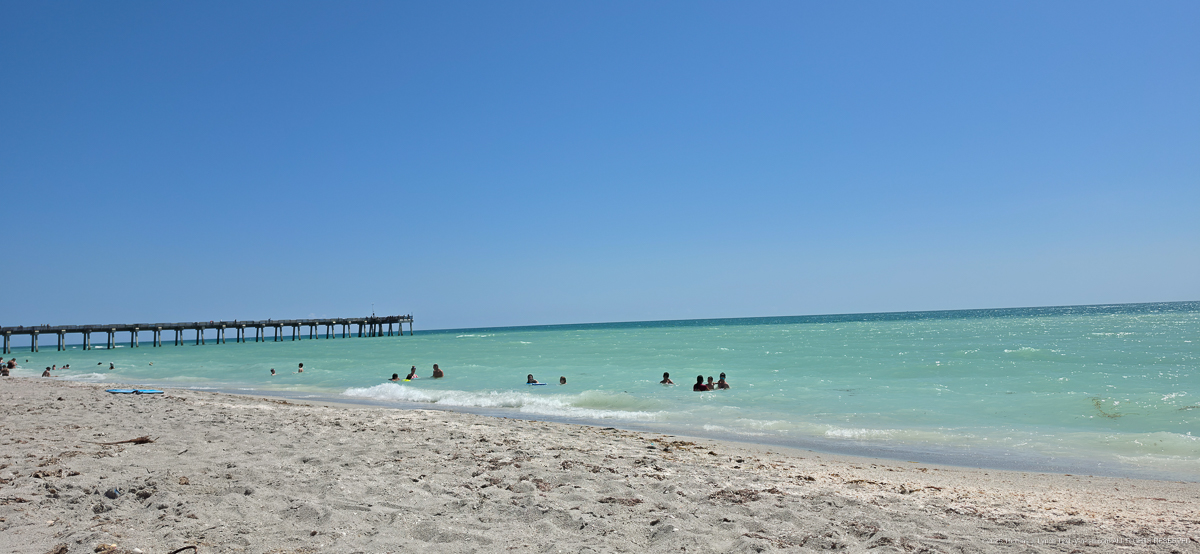 Venice Service Club Sharky's Beach