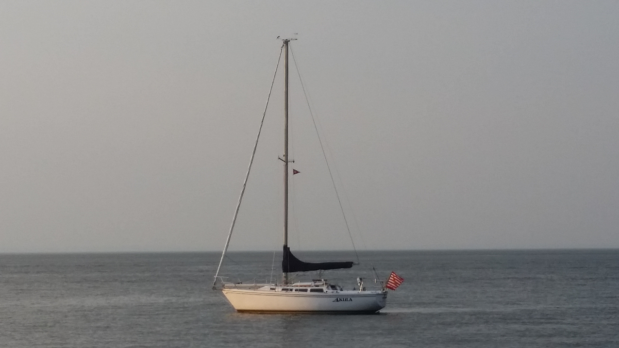 Akula off the West Cedar Beach area  ~~  